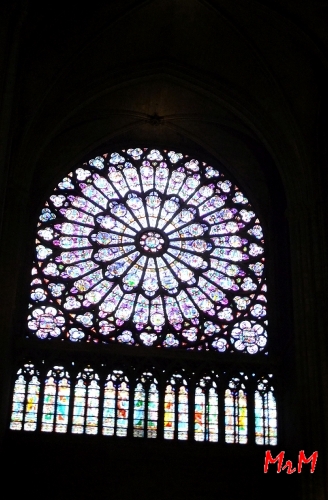 Window Notre Dame
